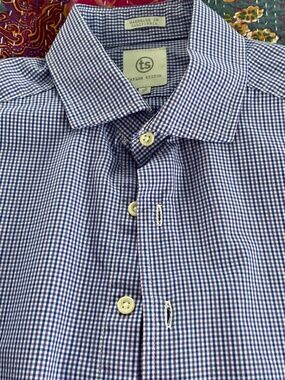 Taylor Stitch button down shirt